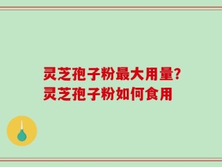 灵芝孢子粉最大用量？灵芝孢子粉如何食用