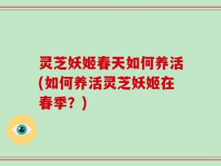灵芝妖姬春天如何养活(如何养活灵芝妖姬在春季？)