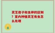 灵芝孢子和虫卵的区别？室内种植灵芝有虫怎么处理