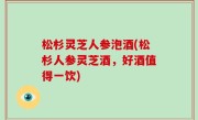 松杉灵芝人参泡酒(松杉人参灵芝酒，好酒值得一饮)