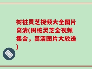 树桩灵芝视频大全图片高清(树桩灵芝全视频集合，高清图片大放送)