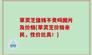 草灵芝值钱不贵吗图片及价格(草灵芝价格亲民，性价比高！)
