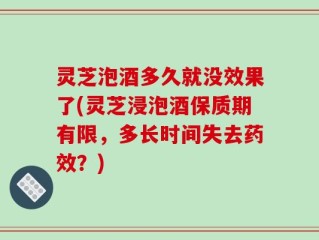 灵芝泡酒多久就没效果了(灵芝浸泡酒保质期有限，多长时间失去药效？)