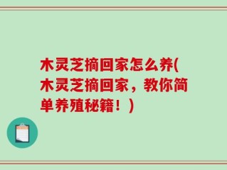 木灵芝摘回家怎么养(木灵芝摘回家，教你简单养殖秘籍！)