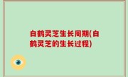 白鹤灵芝生长周期(白鹤灵芝的生长过程)