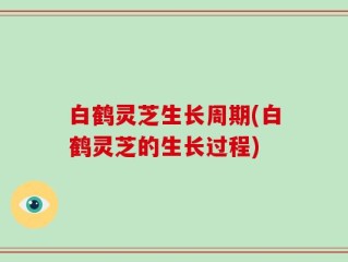 白鹤灵芝生长周期(白鹤灵芝的生长过程)