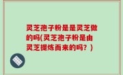 灵芝孢子粉是是灵芝做的吗(灵芝孢子粉是由灵芝提炼而来的吗？)
