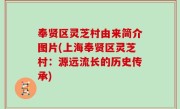 奉贤区灵芝村由来简介图片(上海奉贤区灵芝村：源远流长的历史传承)