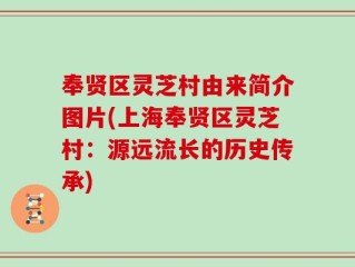 奉贤区灵芝村由来简介图片(上海奉贤区灵芝村：源远流长的历史传承)
