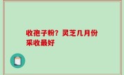 收孢子粉？灵芝几月份采收最好