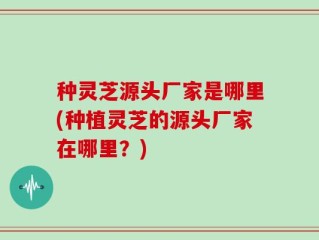 种灵芝源头厂家是哪里(种植灵芝的源头厂家在哪里？)
