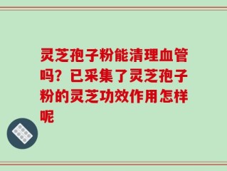 灵芝孢子粉能清理血管吗？已采集了灵芝孢子粉的灵芝功效作用怎样呢