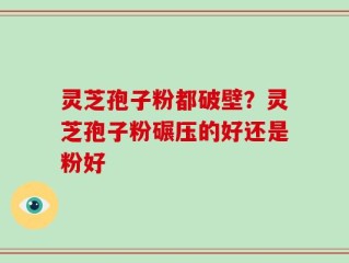 灵芝孢子粉都破壁？灵芝孢子粉碾压的好还是粉好
