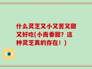什么灵芝又小又苦又甜又好吃(小而香甜？这种灵芝真的存在！)