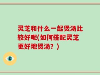 灵芝和什么一起煲汤比较好呢(如何搭配灵芝更好地煲汤？)