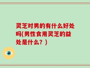 灵芝对男的有什么好处吗(男性食用灵芝的益处是什么？)