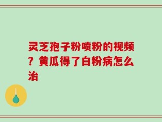 灵芝孢子粉喷粉的视频？黄瓜得了白粉病怎么治
