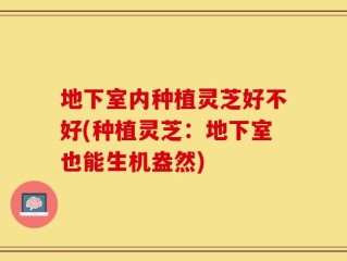 地下室内种植灵芝好不好(种植灵芝：地下室也能生机盎然)
