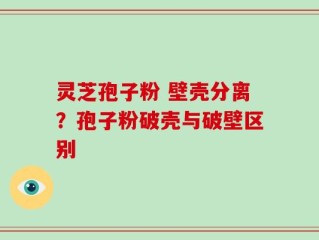 灵芝孢子粉 壁壳分离？孢子粉破壳与破壁区别