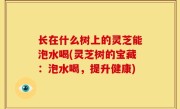 长在什么树上的灵芝能泡水喝(灵芝树的宝藏：泡水喝，提升健康)