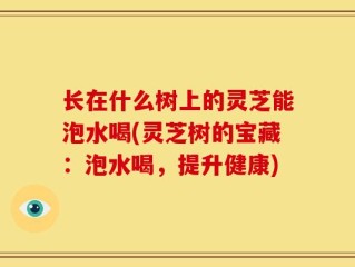 长在什么树上的灵芝能泡水喝(灵芝树的宝藏：泡水喝，提升健康)