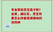 冬虫草和灵芝孢子粉？虫草，藏红花，灵芝效果怎么样都是保健啥的功效啊