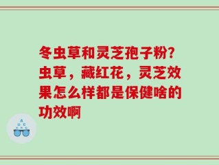 冬虫草和灵芝孢子粉？虫草，藏红花，灵芝效果怎么样都是保健啥的功效啊
