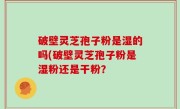 破壁灵芝孢子粉是湿的吗(破壁灵芝孢子粉是湿粉还是干粉？