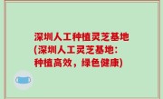 深圳人工种植灵芝基地(深圳人工灵芝基地：种植高效，绿色健康)