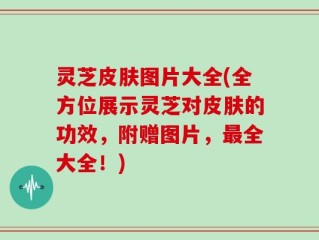 灵芝皮肤图片大全(全方位展示灵芝对皮肤的功效，附赠图片，最全大全！)