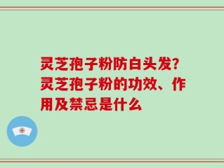 灵芝孢子粉防白头发？灵芝孢子粉的功效、作用及禁忌是什么