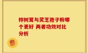 桦树茸与灵芝孢子粉哪个更好 两者功效对比分析