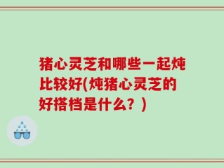 猪心灵芝和哪些一起炖比较好(炖猪心灵芝的好搭档是什么？)