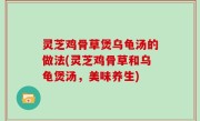灵芝鸡骨草煲乌龟汤的做法(灵芝鸡骨草和乌龟煲汤，美味养生)