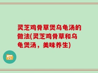 灵芝鸡骨草煲乌龟汤的做法(灵芝鸡骨草和乌龟煲汤，美味养生)