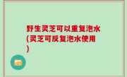 野生灵芝可以重复泡水(灵芝可反复泡水使用)