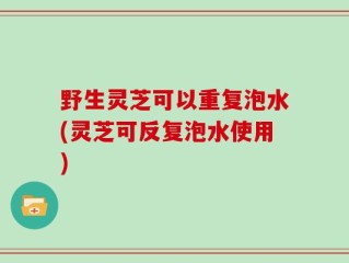 野生灵芝可以重复泡水(灵芝可反复泡水使用)