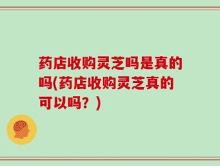 药店收购灵芝吗是真的吗(药店收购灵芝真的可以吗？)