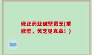 修正药业破壁灵芝(重修壁，灵芝见真章！)