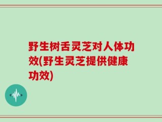 野生树舌灵芝对人体功效(野生灵芝提供健康功效)