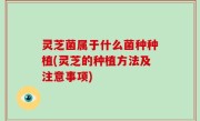 灵芝菌属于什么菌种种植(灵芝的种植方法及注意事项)
