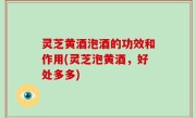 灵芝黄酒泡酒的功效和作用(灵芝泡黄酒，好处多多)