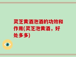 灵芝黄酒泡酒的功效和作用(灵芝泡黄酒，好处多多)