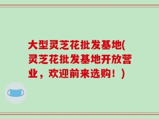 大型灵芝花批发基地(灵芝花批发基地开放营业，欢迎前来选购！)