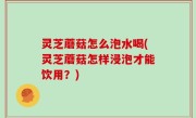 灵芝蘑菇怎么泡水喝(灵芝蘑菇怎样浸泡才能饮用？)