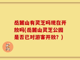 岳麓山有灵芝吗现在开放吗(岳麓山灵芝公园是否已对游客开放？)