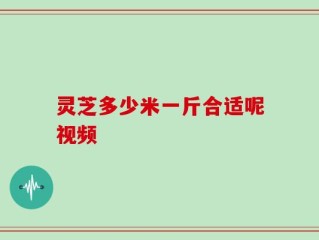 灵芝多少米一斤合适呢视频