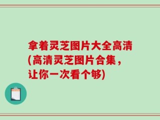 拿着灵芝图片大全高清(高清灵芝图片合集，让你一次看个够)