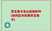 灵芝孢子怎么区别好坏(如何区分优质灵芝孢子)