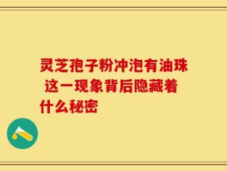 灵芝孢子粉冲泡有油珠 这一现象背后隐藏着什么秘密